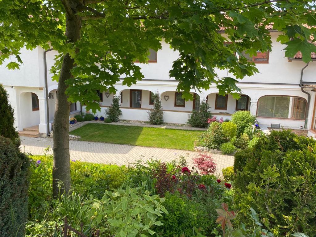Ferienwohnung Herrmann Pottenhofen 外观 照片