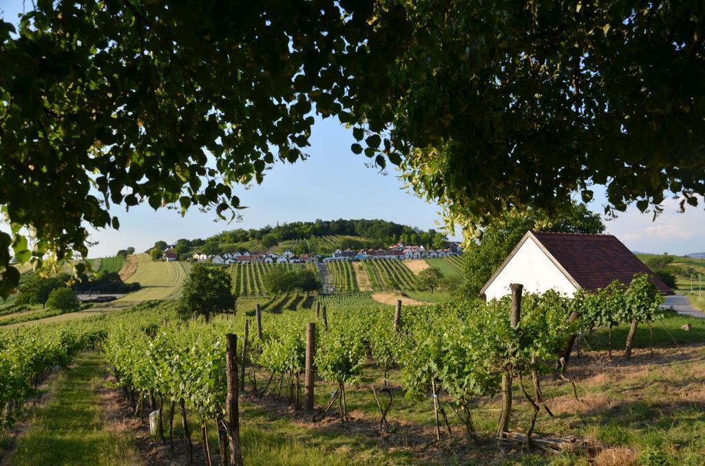 Ferienwohnung Herrmann Pottenhofen 外观 照片