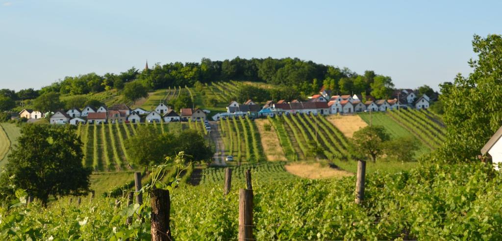 Ferienwohnung Herrmann Pottenhofen 外观 照片