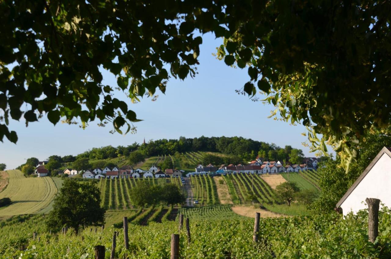 Ferienwohnung Herrmann Pottenhofen 外观 照片